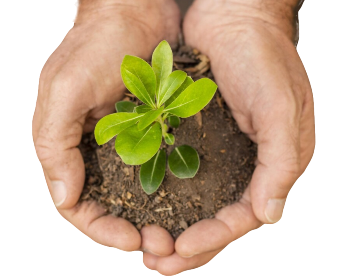 Seeds and Fertilizers